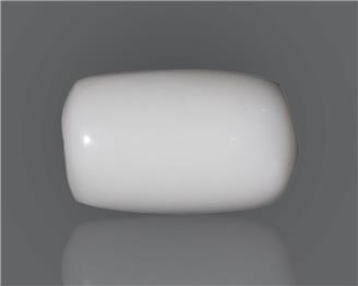 Natural White Coral  15.56 CTS (50208)